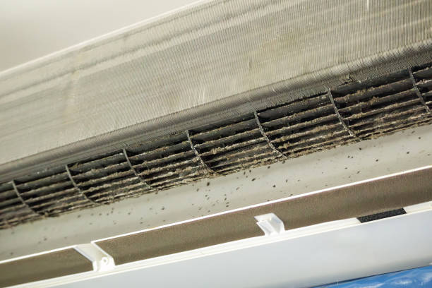 Best Emergency Air Duct Cleaning  in Humble, TX